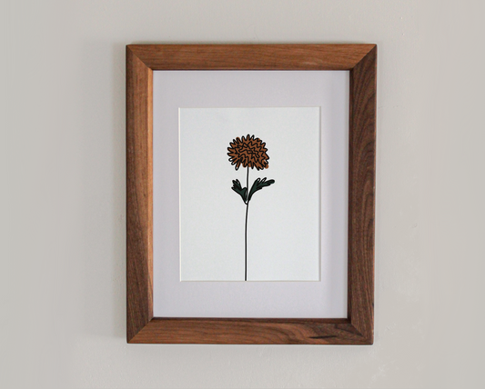 Chrysanthemum Line Drawing 8x10" Art Print