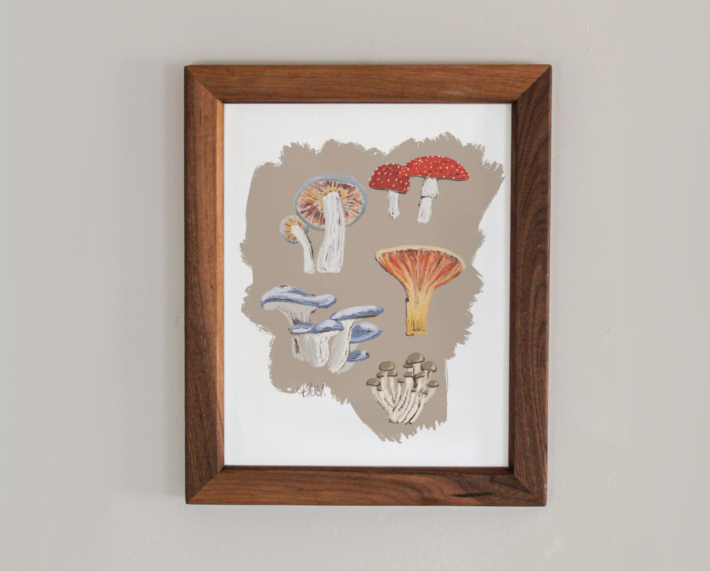 Mushrooms 11x14" Art Print