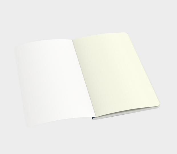 Blue Botanical Line Drawing Notebook