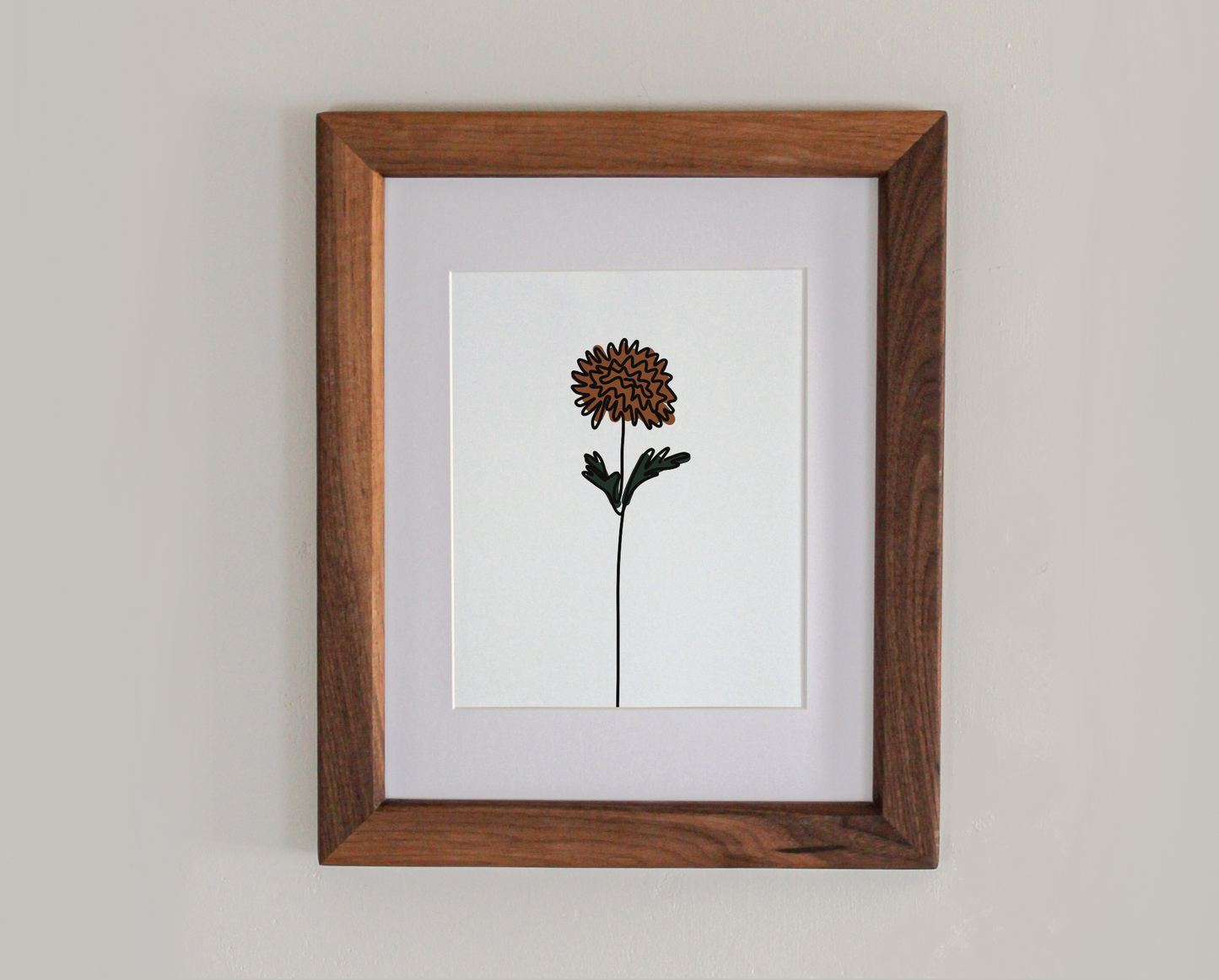 Chrysanthemum Line Drawing 8x10" Art Print